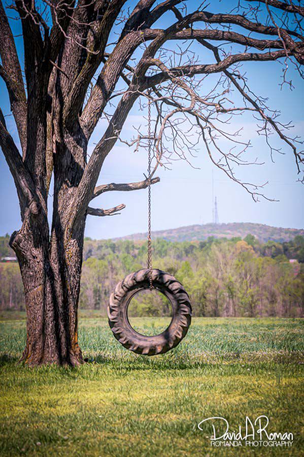Spring on the farm